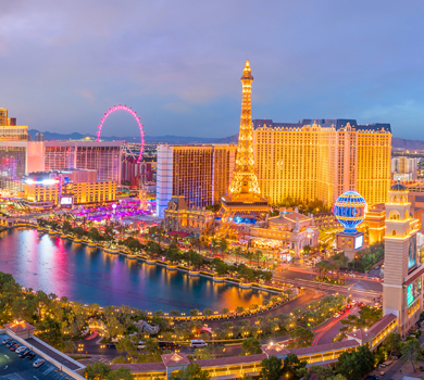 Las Vegas Flight