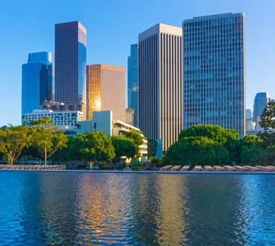 Los Angeles Flights