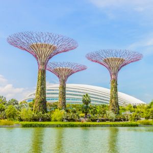 Singapore Holiday Package