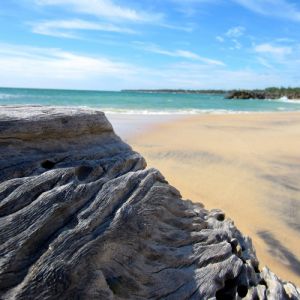 Sri Lanka Holidays